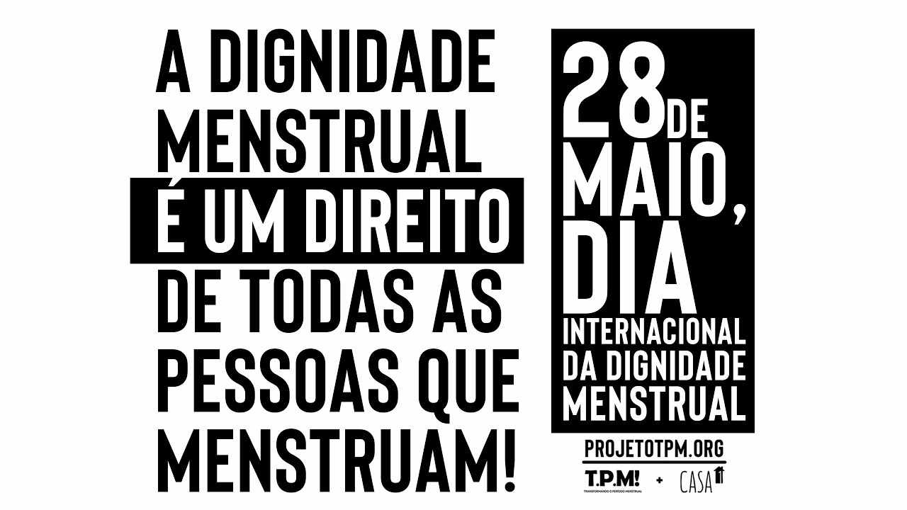 dia dignidade menstrual2