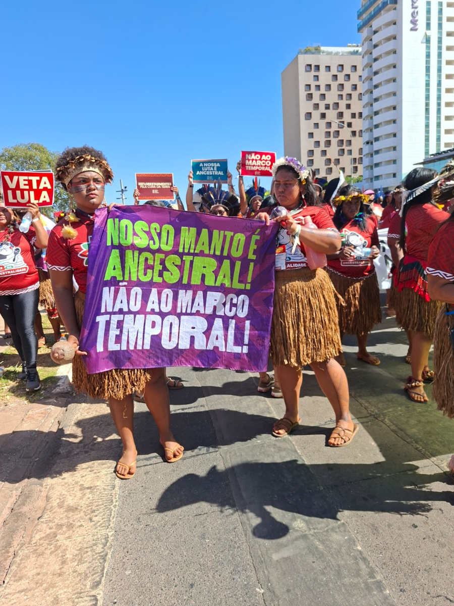 marcha indigenas2025a