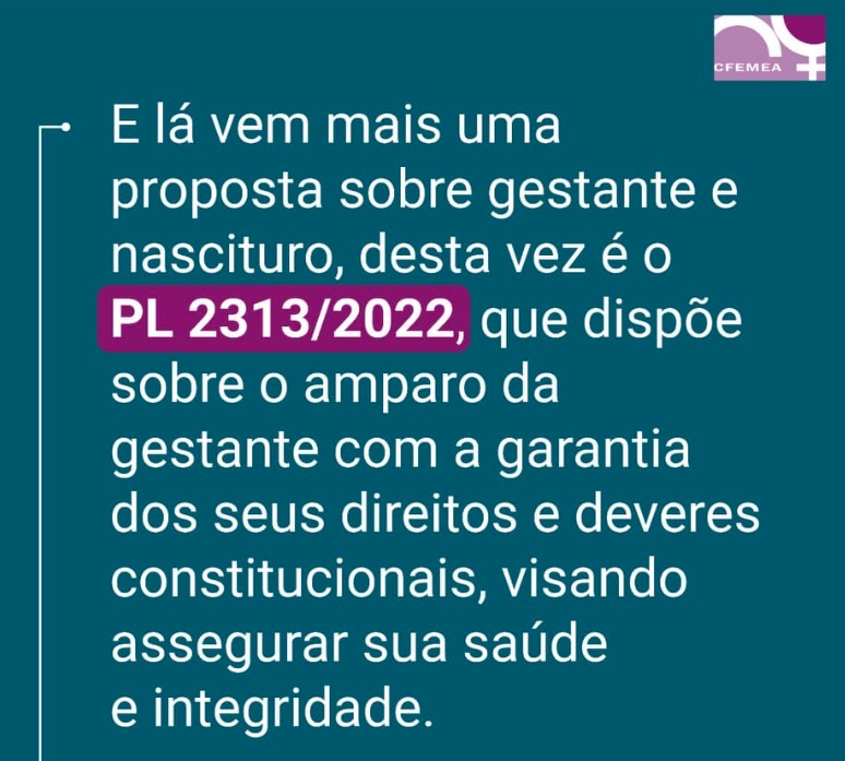 proposta lei gestante nascituro radar3