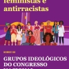 Grupos Ideológicos no Congresso Nacional 2023-2026